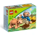 5643 Little Piggy