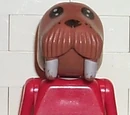 William Walrus