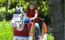 Legoland horse.png
