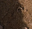 Images from 2x05