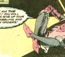 World's Finest Vol 1 259/Images
