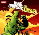 Marvel Universe Vs. The Punisher Vol 1 2