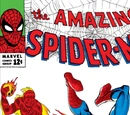 Amazing Spider-Man Vol 1 21