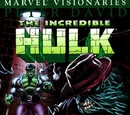 Hulk Visionaries: Peter David Vol 1 7