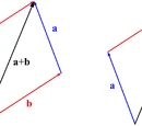 Vector