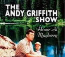 The Andy Griffith Show