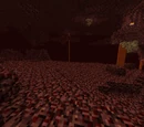 The Nether