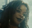 Calypso