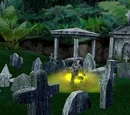 Tortuga Graveyard