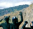 Shadow Rangers (Wild Force)