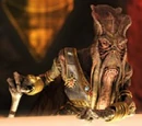 Poggle o Menor