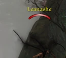 Leanashe