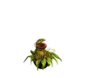 Mutant Plant