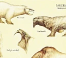 Bardelot