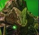 Zagara
