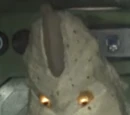 Alien Quraso