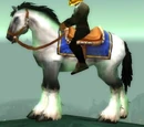 White Stallion Bridle