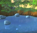 Pool of Reflection