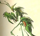 Praying mantis