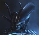 Xenomorph