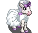 Bride Unicorn Foal