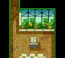 Greenhouse Two