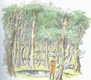 Wood Between the Worlds