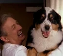 Baxter