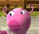 Zuniqua