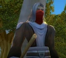 Defias Rogue Wizard