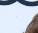 Doug Brochu