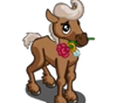 Settling Foal