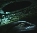 Serpent of Slytherin
