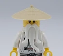 Sensei Wu