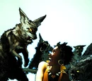 Animal Empathy