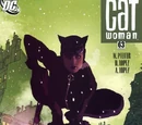 Catwoman Vol 3 63