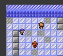 Mahogany Town Gym