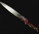 Kitchen Knife