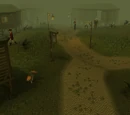 Canifis