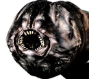 Greedy Worm