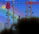 The Hallow