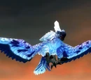 Miniwing