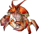 Makrura