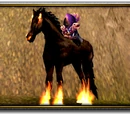 Felsteed