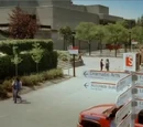 Smithdale University