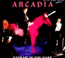 Keep Me in the Dark (bootleg)