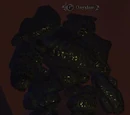 Onyxlam