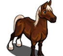 Quarter Horse
