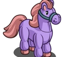 Harrietta Horse