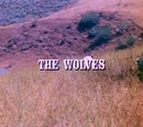 Episode 405: The Wolves